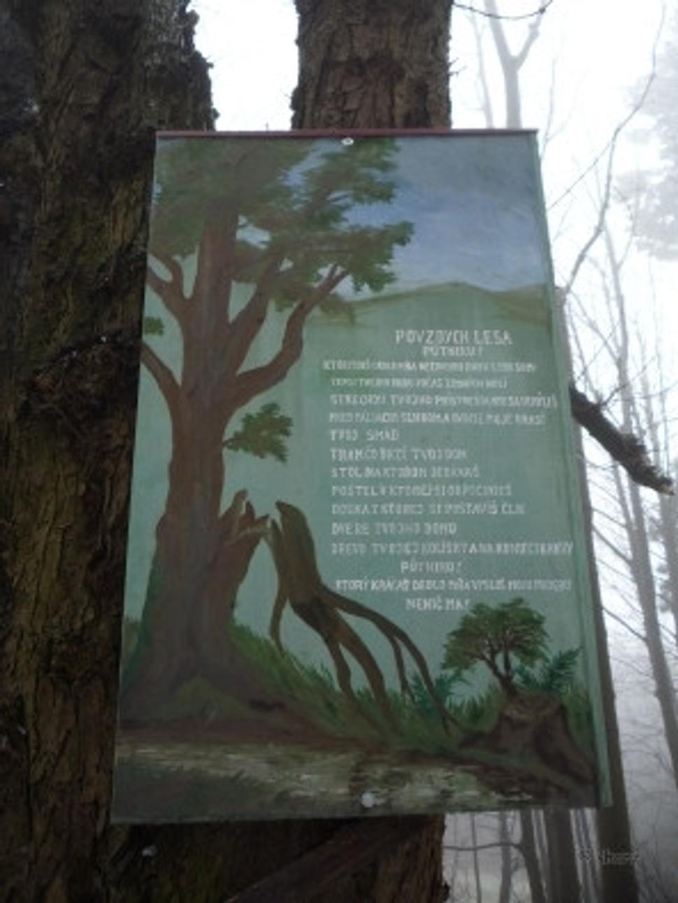 Obrázok blogu