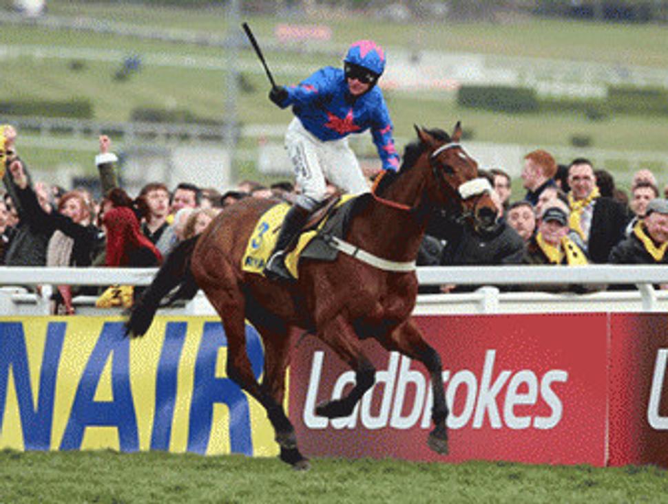 Cue Card pri víťazstve Ryanair Chase na festivale predvlani