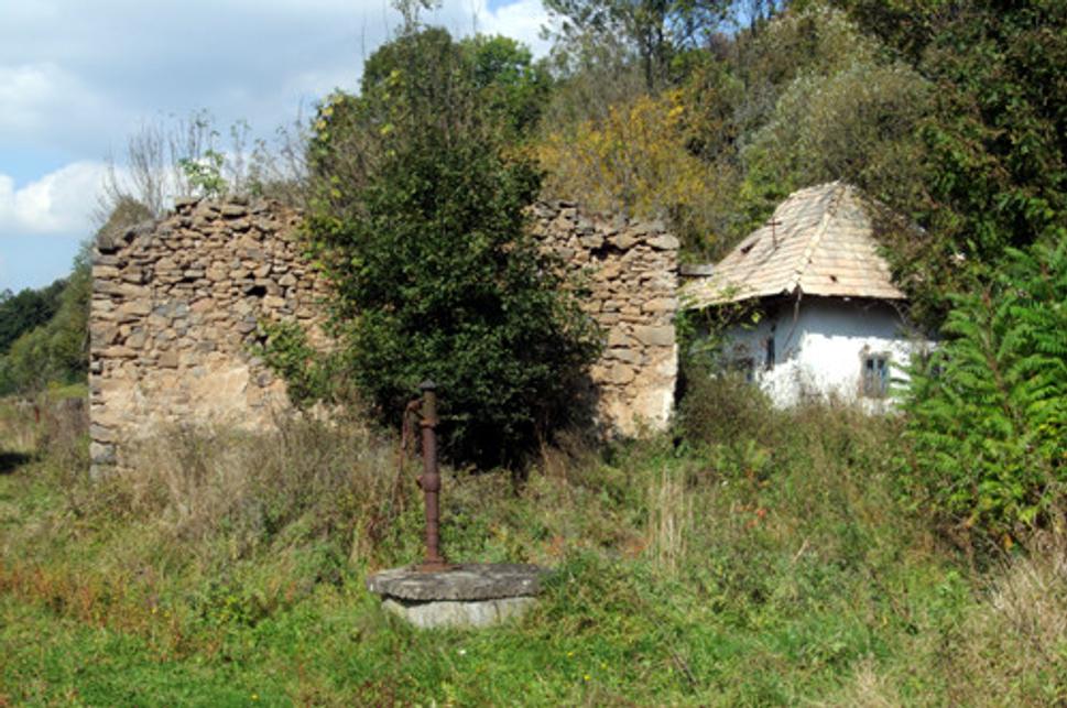 Obrázok blogu