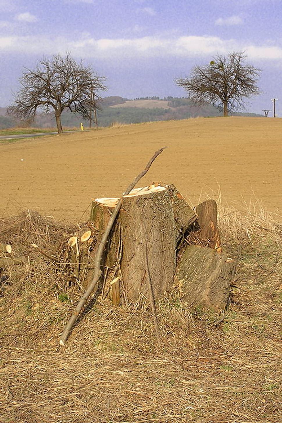 Obrázok blogu