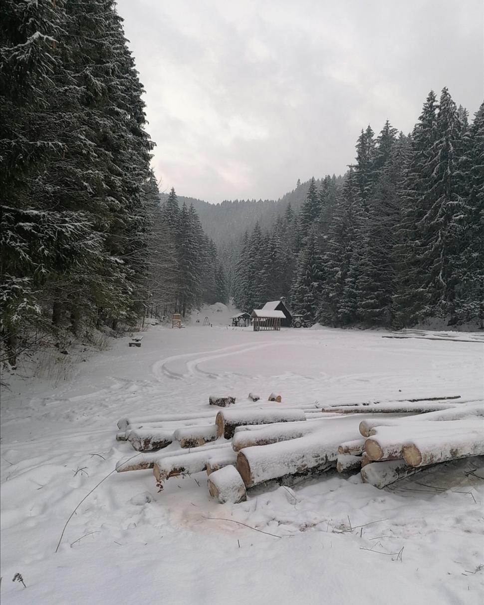 čistinka