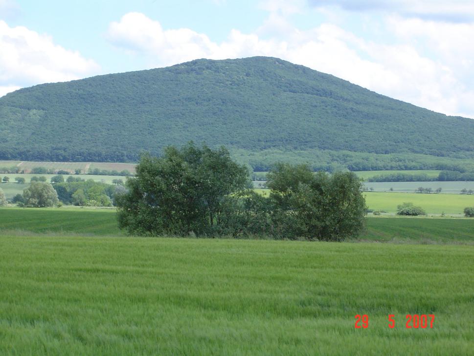 Obrázok blogu
