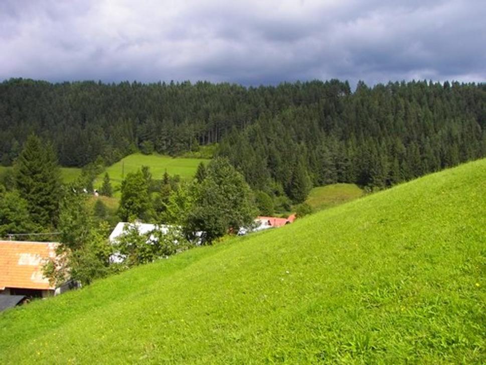 Obrázok blogu