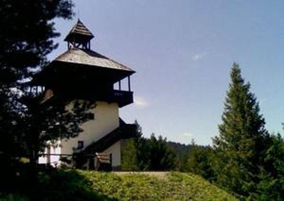Veža nad Veľkým Borovým