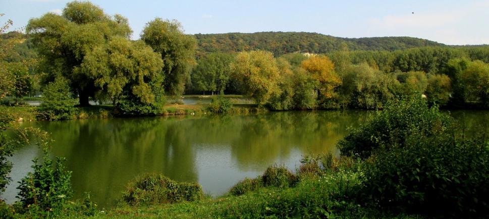 Obrázok blogu
