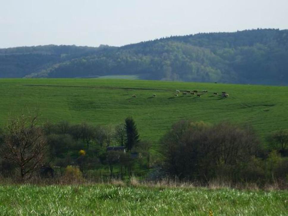 Obrázok blogu