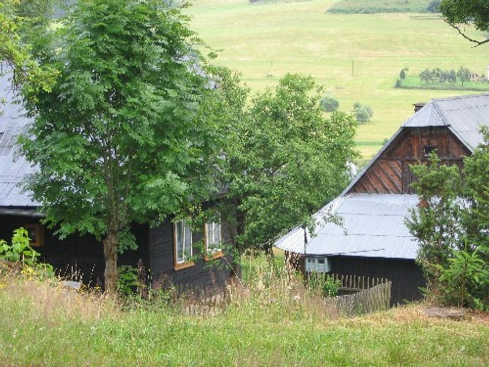 Obrázok blogu