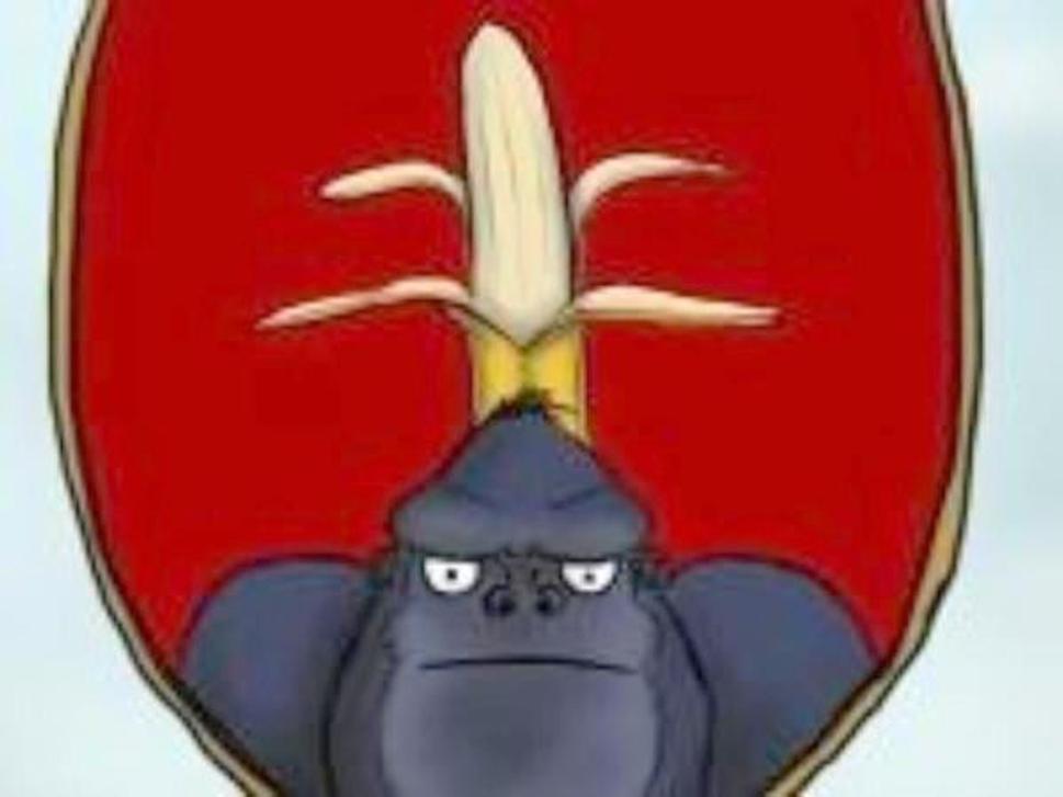 gorila Sk