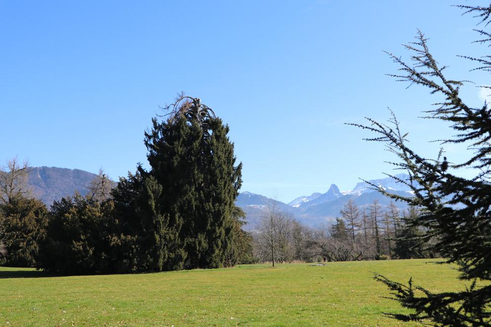 Park a výhľad na Alpy