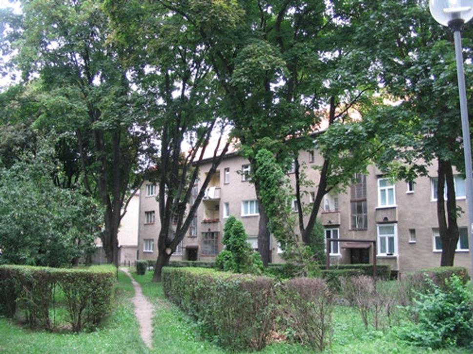 Obrázok blogu