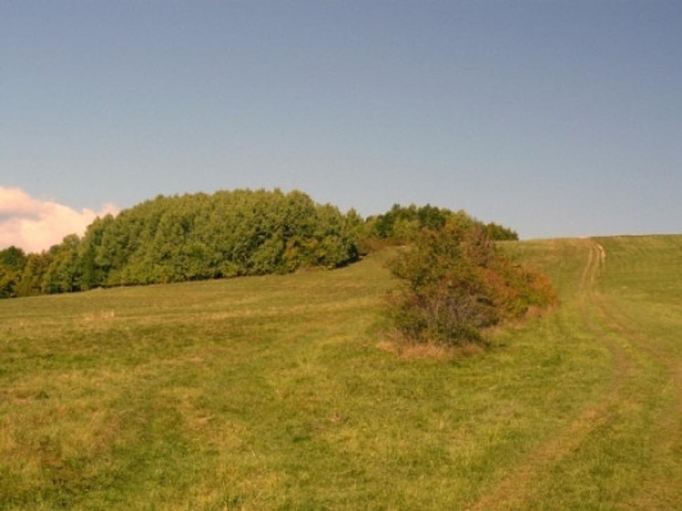 Obrázok blogu