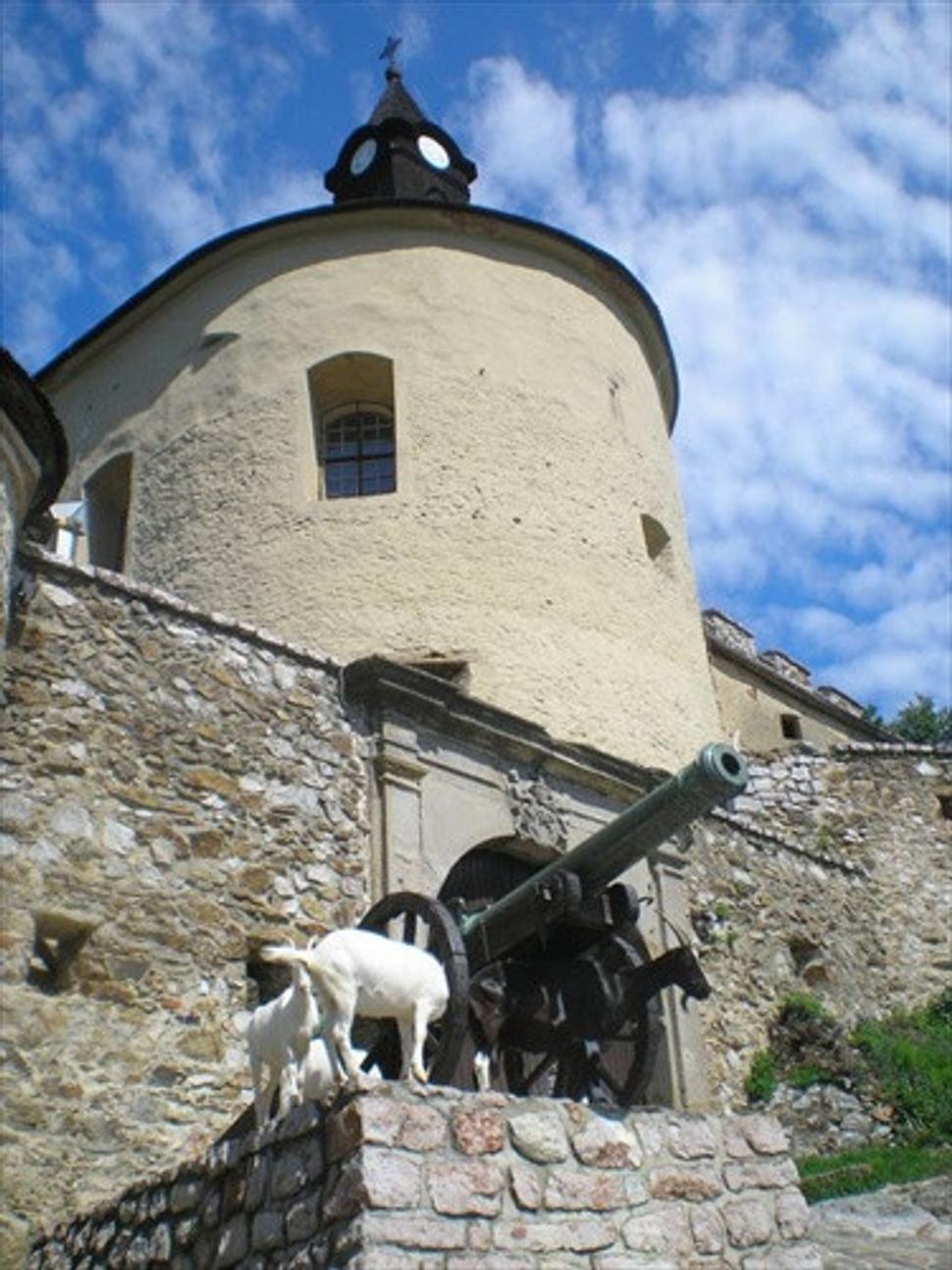 Obrázok blogu