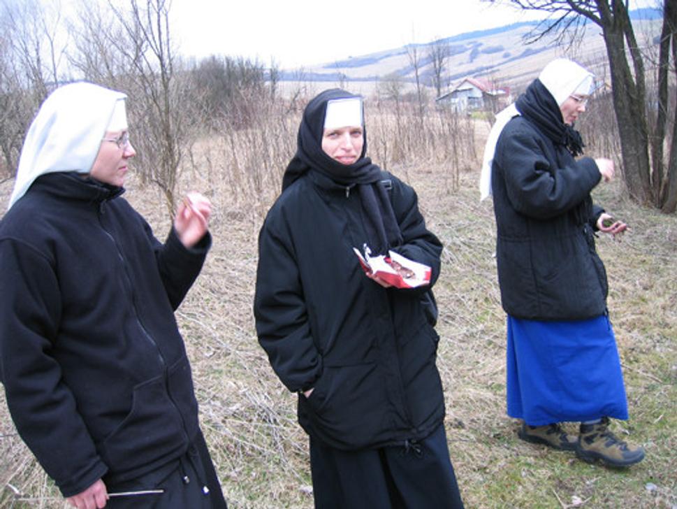 Obrázok blogu