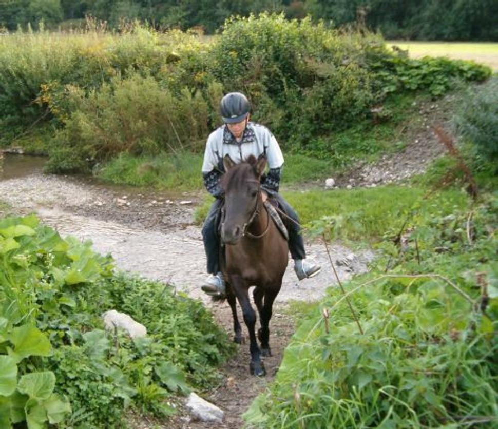 Na huculovi vraj vyzeram ako don Quichote