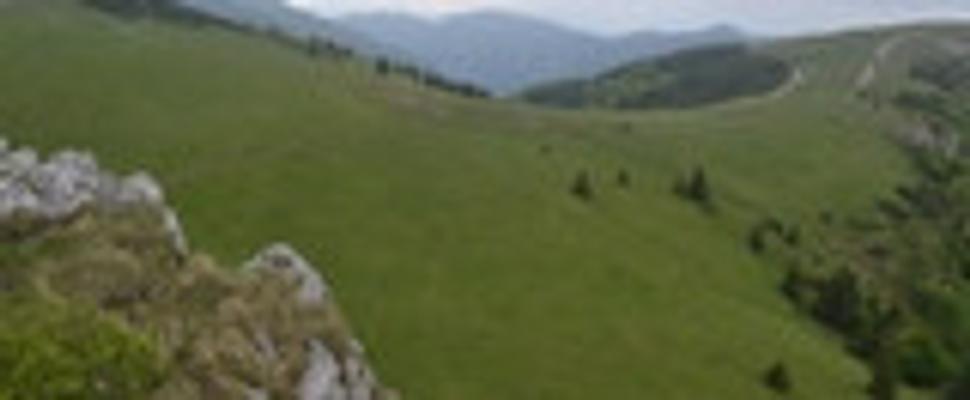Cesta