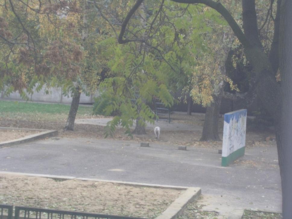 Obrázok blogu