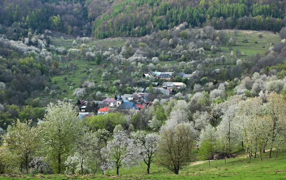 Brdárka, Gemer, Slovensko
