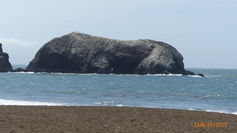 Bird Island