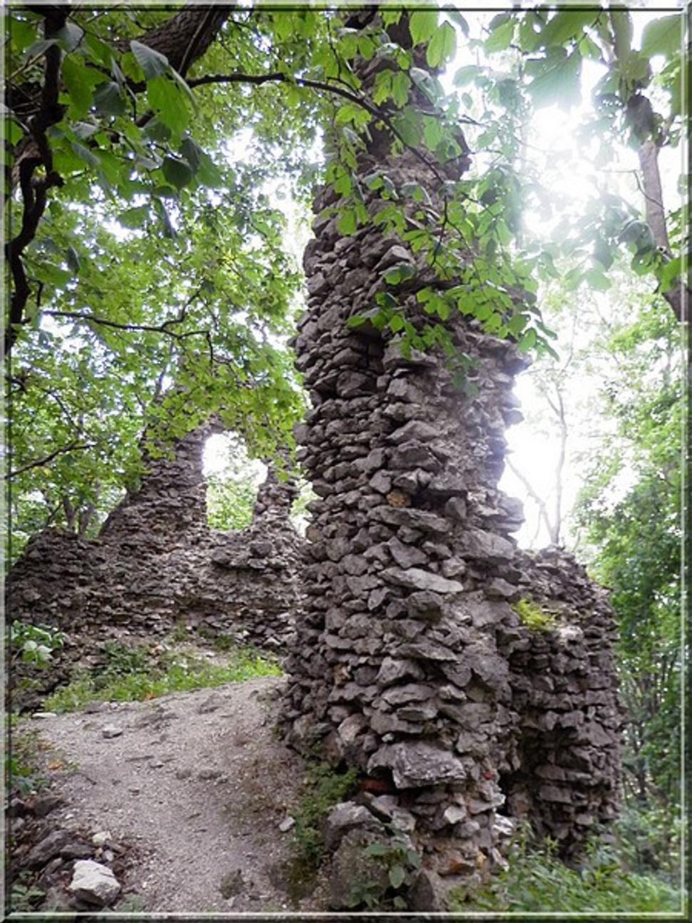 Obrázok blogu