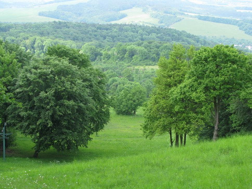 Obrázok blogu