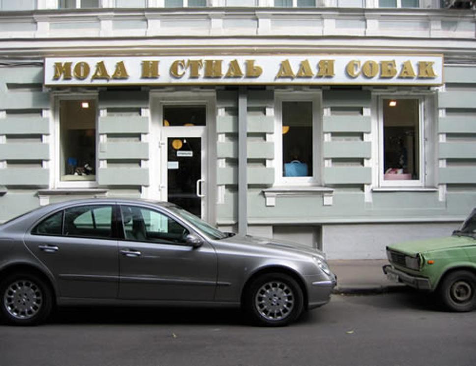 Obrázok blogu