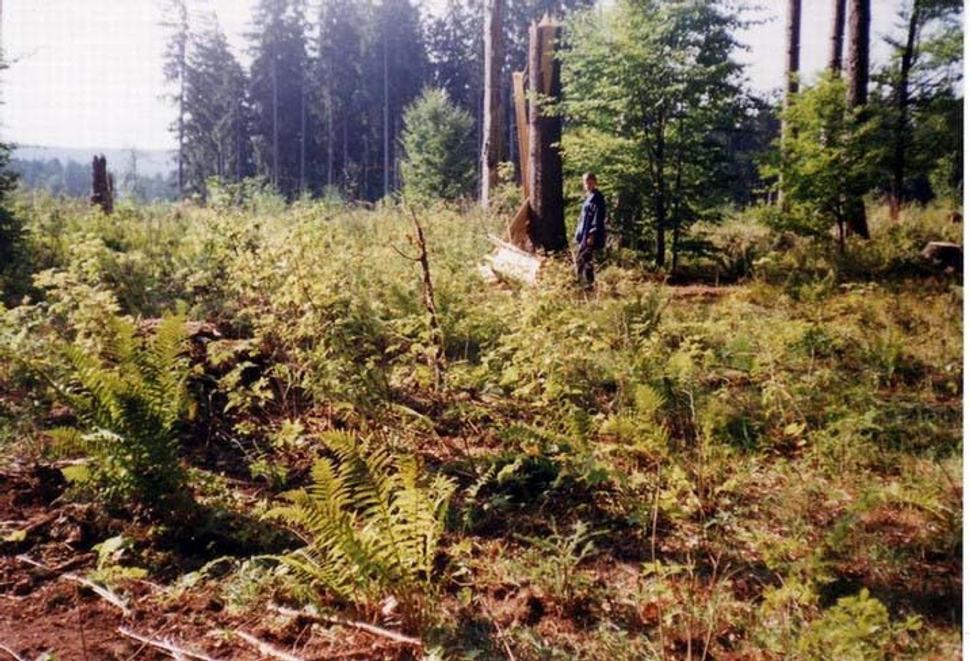 Obrázok blogu