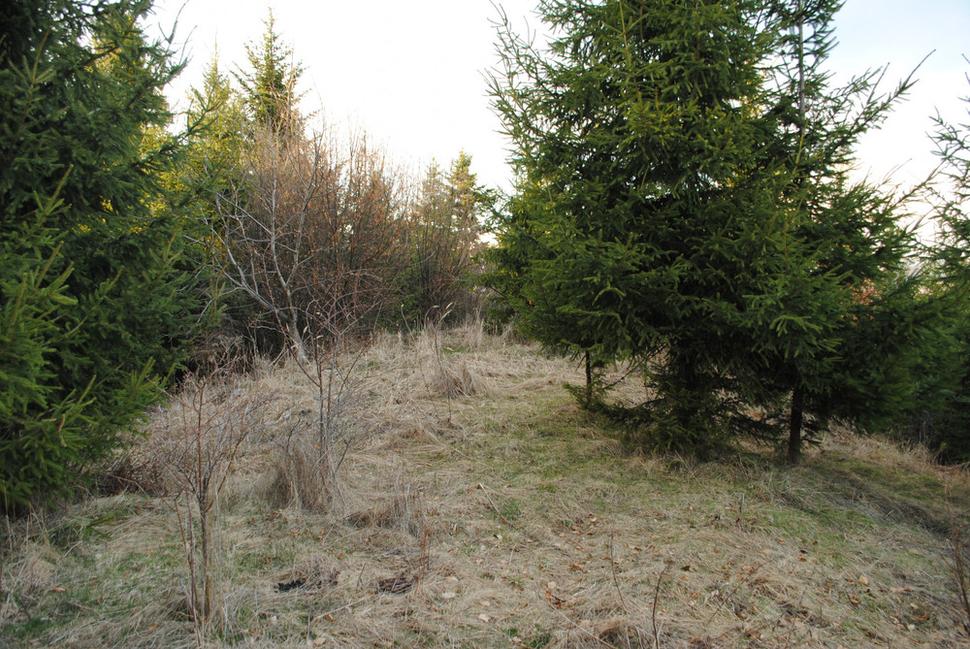Vrchol Varty nad Strelníkmi (Šajbou) je zarastený mladinou a kríkmi. Terénne nerovnosti naznačujúce zásah ľudskej ruky pri stavbe objektu v minulosti, neboli objavené.