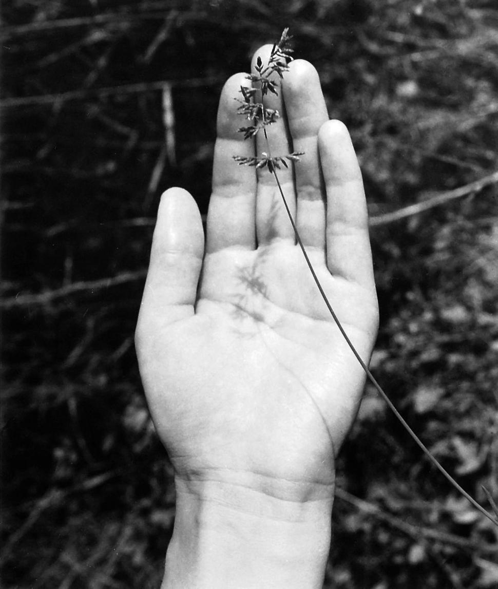 Michal Kern: Teším sa, že na mojej dlani je tieň trávy, P. F. 1989 (1989).