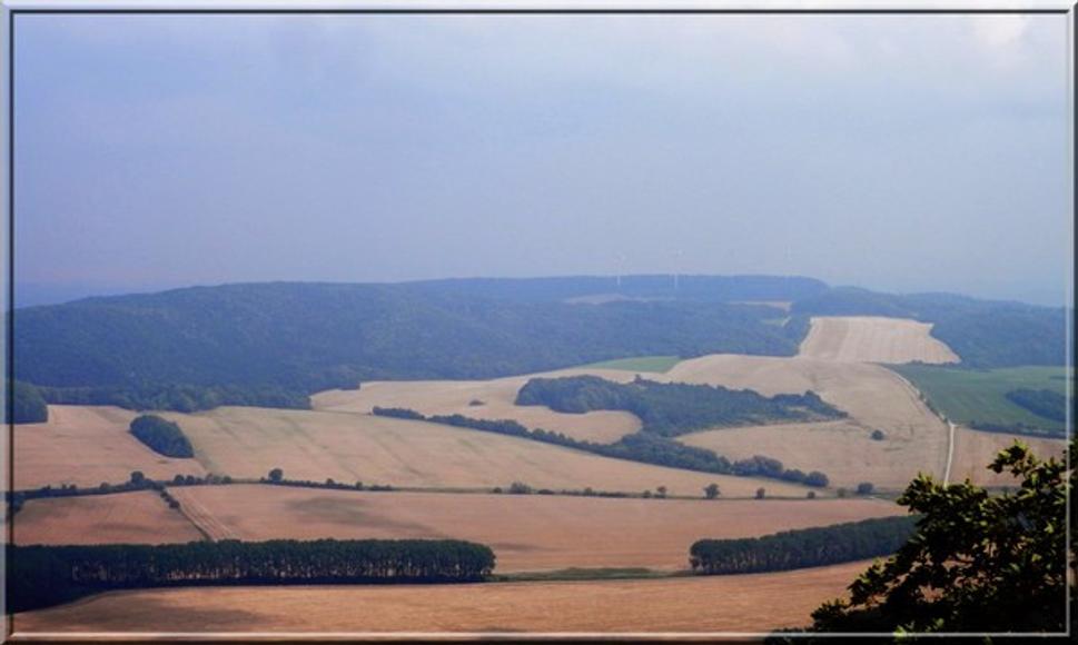 Obrázok blogu