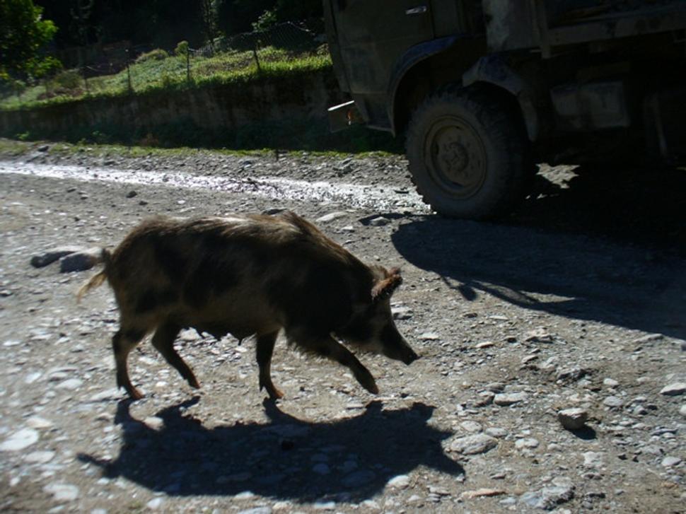 Obrázok blogu
