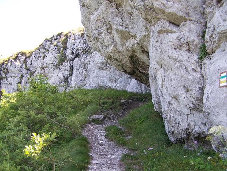 Obrázok blogu