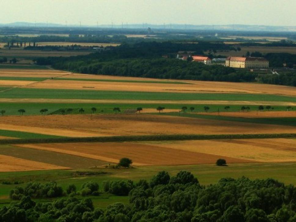 Obrázok blogu