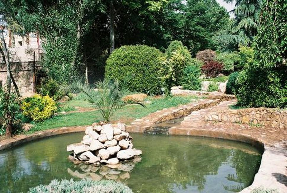 Shiraz
