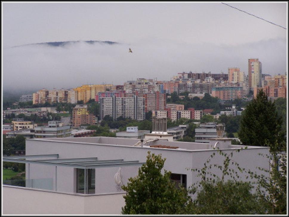 Obrázok blogu