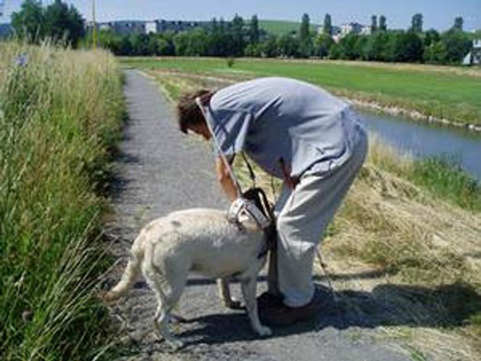 Obrázok blogu