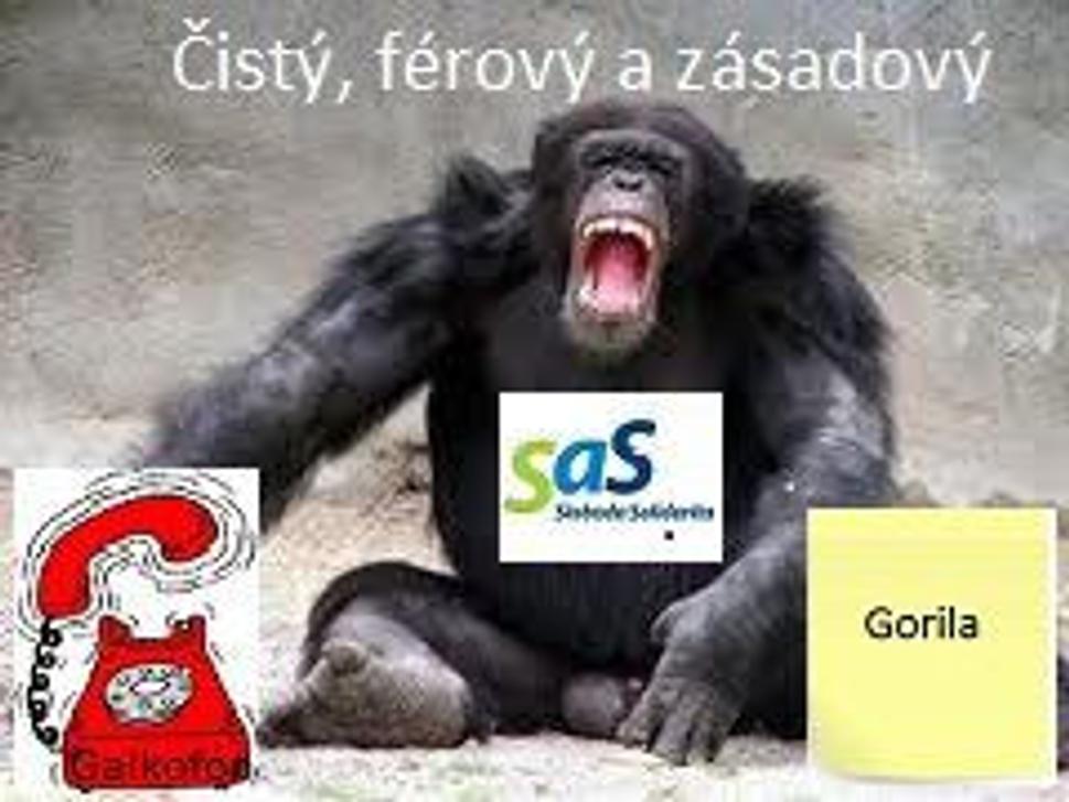 Šimpanz SAS