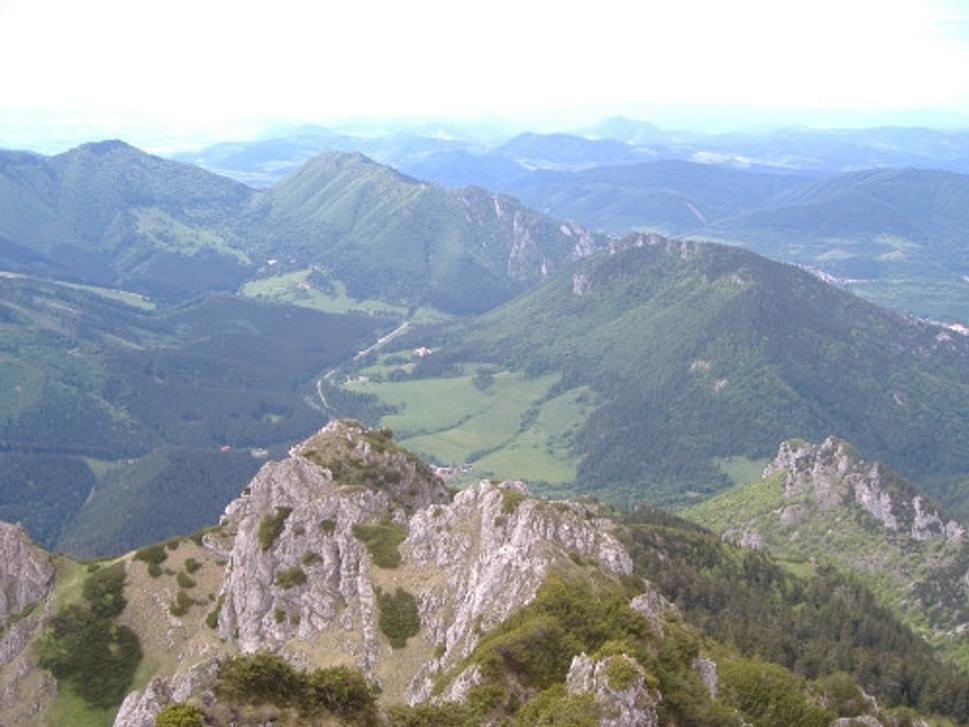 Obrázok blogu