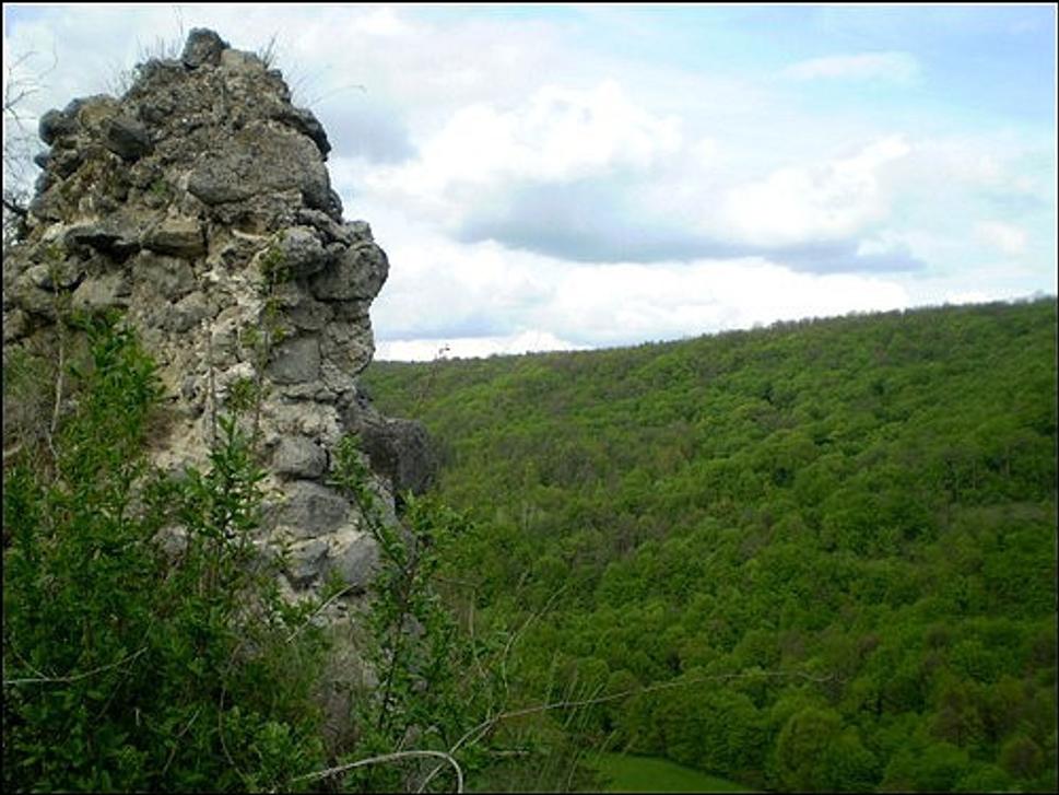 Obrázok blogu