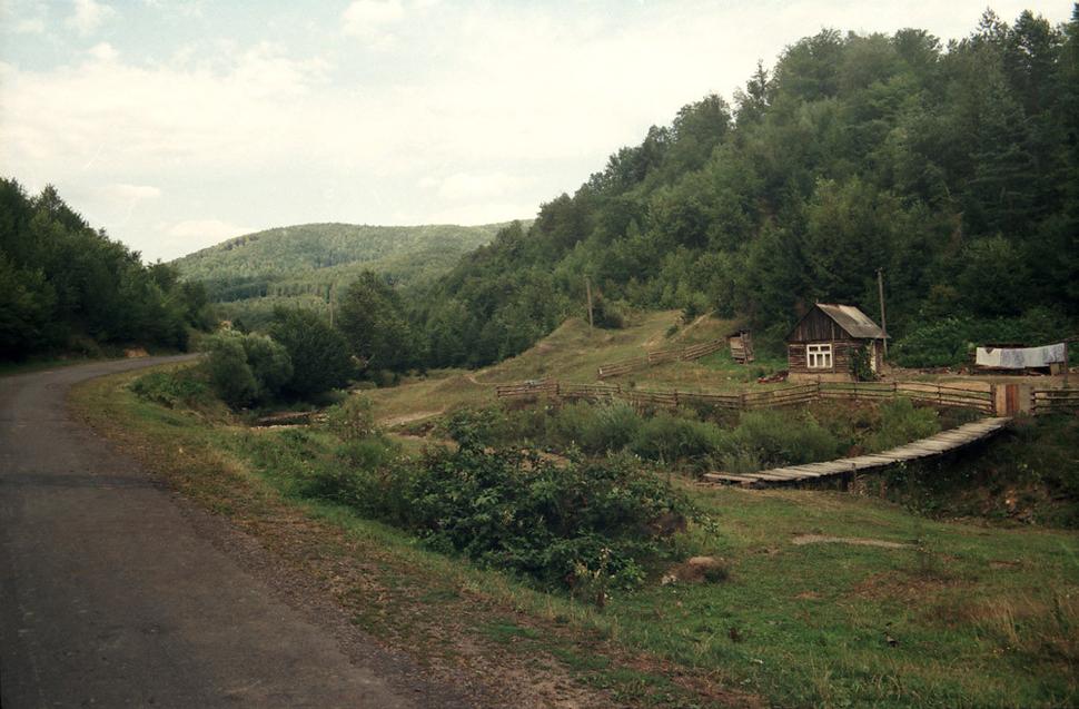Obrázok blogu