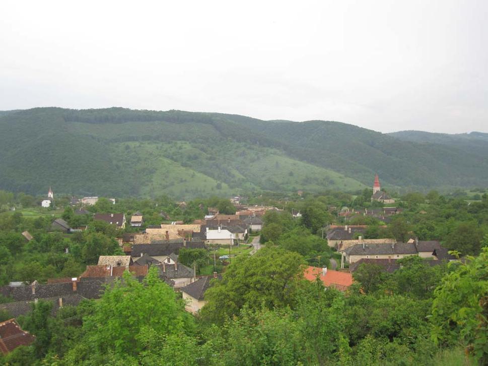 Obrázok blogu