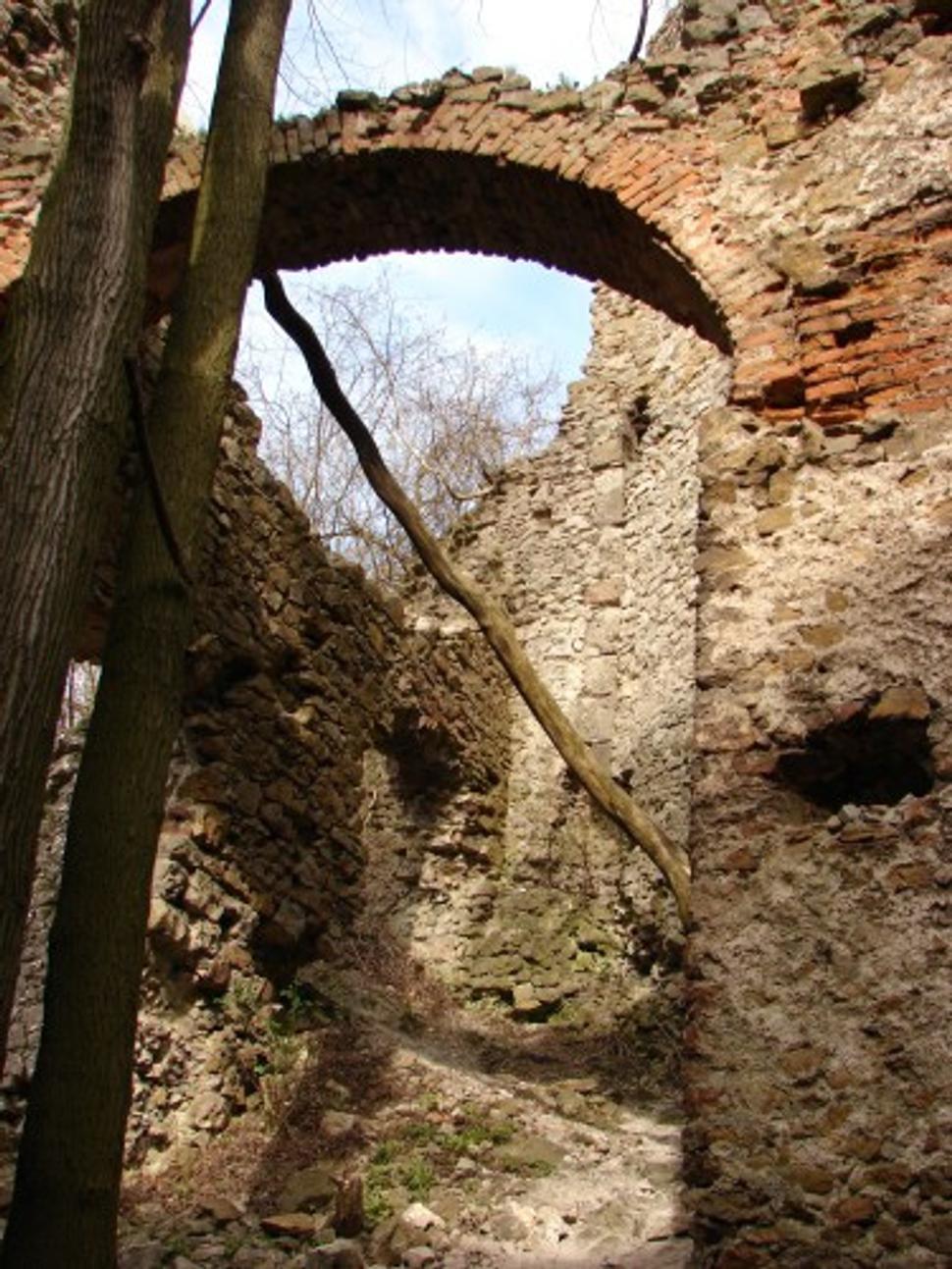 Obrázok blogu