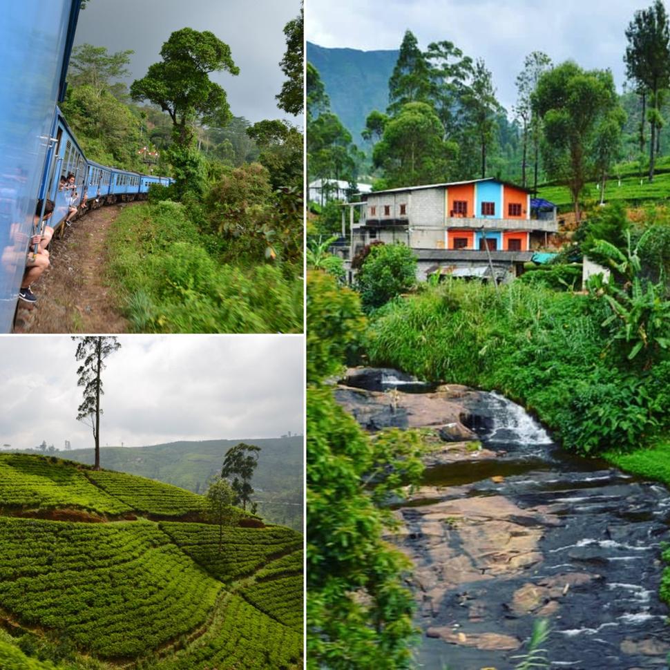 Cesta vlakom do Nuwara Eliya