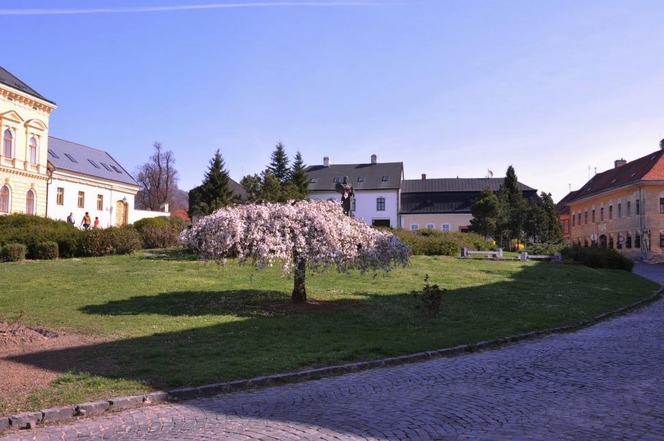 Obrázok blogu