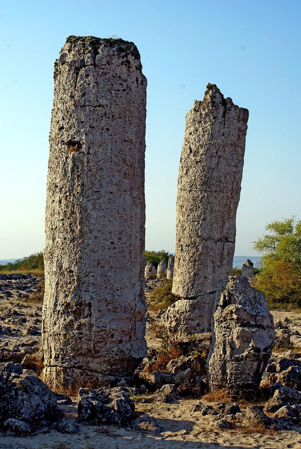 Obrázok blogu