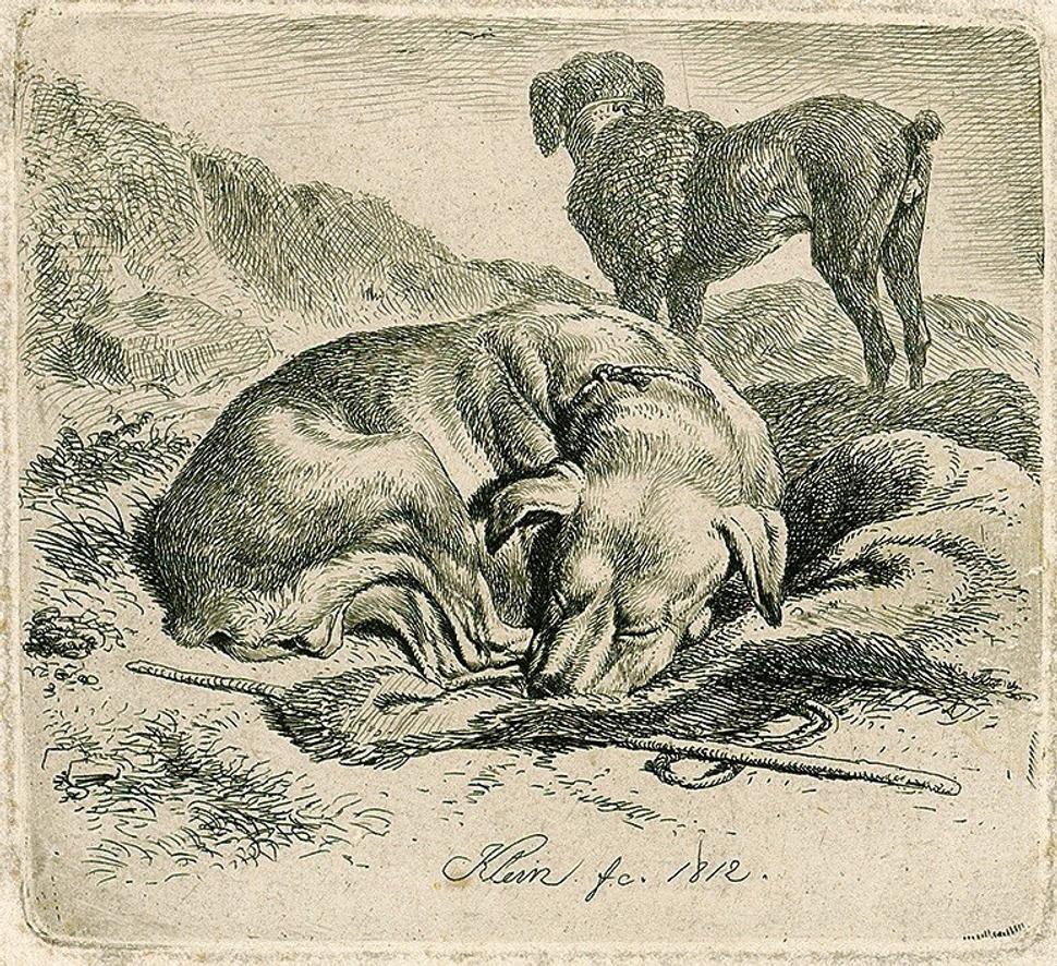 • Johann Adam Klein: Spiaci pes (rytina, 1812). •