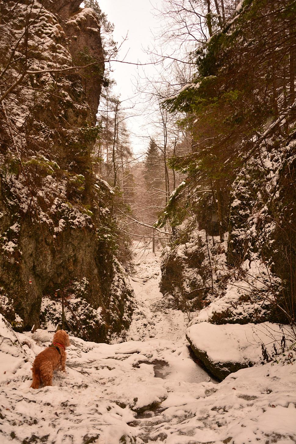 Lačnovská tiesňava