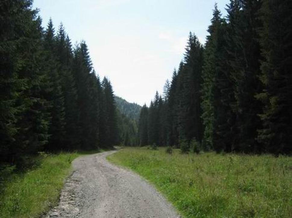 Obrázok blogu