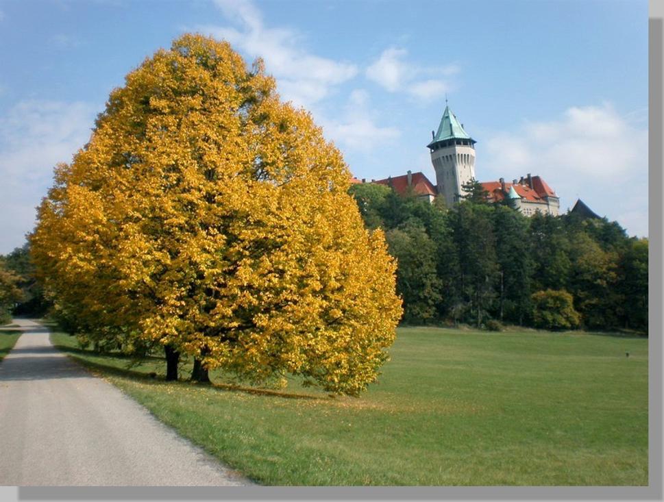 Obrázok blogu