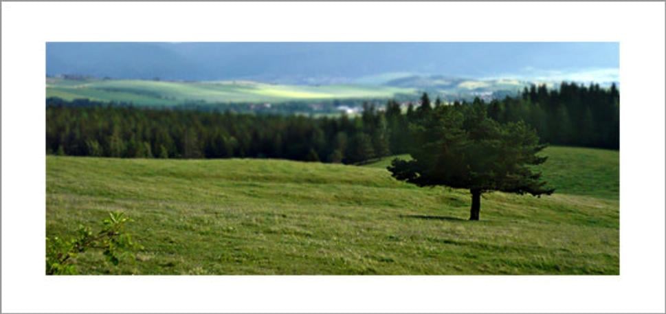 Matiašovské háje