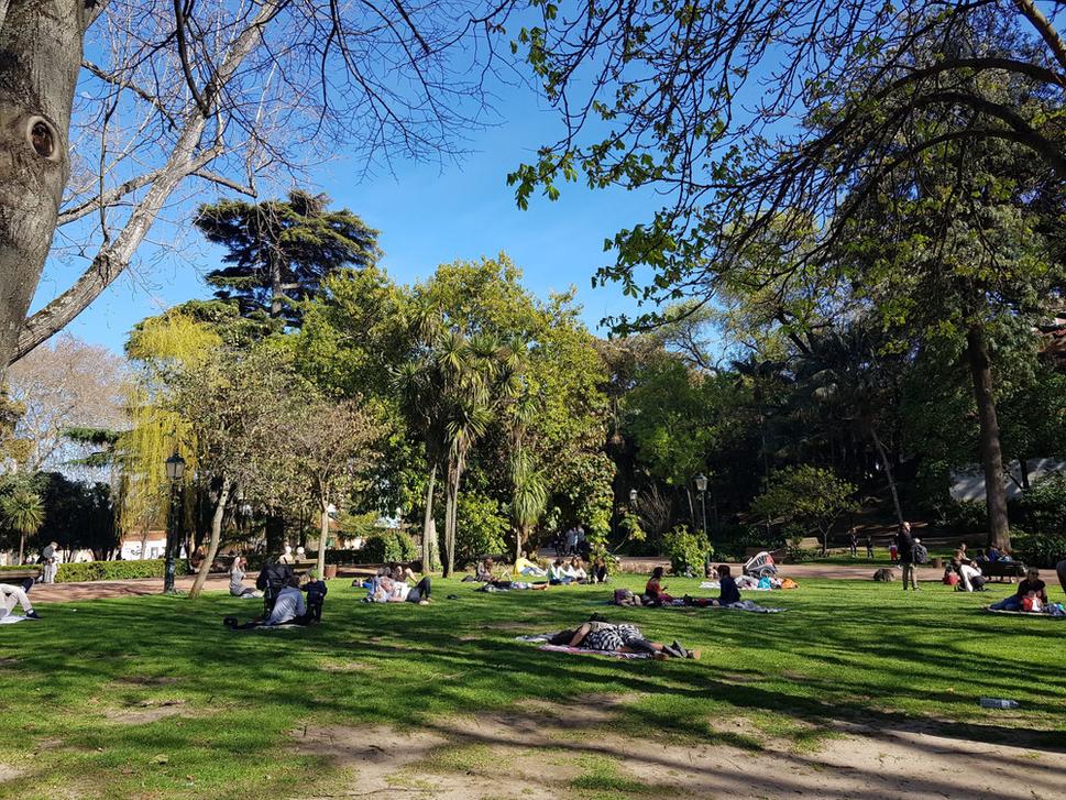 Jardim de Estrela.